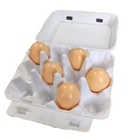 12 Conteneurs de stockage d'œufs naturels vides porte-pâte porte-œufs de caille boîtes de conteneurs pour le stockage pour ferme marchande