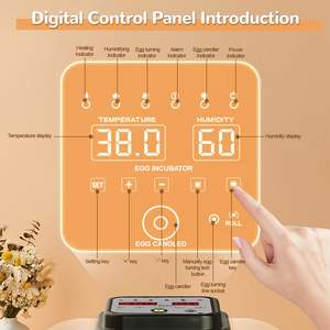 Incubatrice per 30 Uova con Rotazione Automatica, Controllo dell'Umidità, Sperauova Integrato, per Quaglie, Anatre, Polli, Pappagalli, Tasso di Schiusa del 98% - Product Image 2