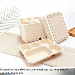 Lonchera Biodegradable de 5 Compartimentos con Garantía de Calidad, para Uso en Restaurantes de Comida Rápida y para Empaque de Comida para Llevar - Product Image 4