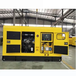 20kW 240/120 60Hz Máy phát điện một pha 20kva 20kW Máy phát điện diesel giá Mauritius mini công nghiệp Máy phát điện