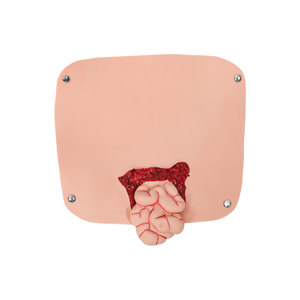 DARHMMY Módulo de Simulación de Trauma para Enfermería de Emergencia y Enseñanza Médica, Cuidado Realista de Heridas para Habilidades de Primeros Auxilios - Product Image 4