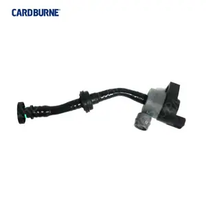 Accesorios de coche Válvula de ventilación de tanque de combustible para piezas Bmw Z4 E89 Válvula de ventilación Oem 13907618652 Cardburne