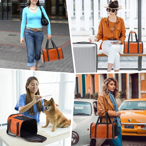 Transportín de Viaje Plegable de Piel Sintética Personalizado, Aprobado por Aerolíneas, para Perros y Gatos Pequeños y Medianos de Menos de 15 Libras - Product Image 6