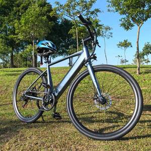 Reino Unido almacén de la UE Stock barato E-Bike 36V bicicleta de carretera Ebike híbrido eléctrico de montaña ciudad Dirt E Bike para adultos - Product Image 4