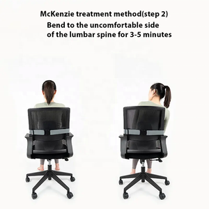 Mini oreiller lombaire chaise de bureau coussin de soutien dorsal avec sangle réglable oreiller de soutien lombaire pour le soulagement de la douleur au bas du dos - Product Image 5