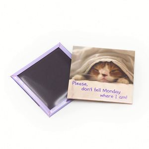 Custom High Quality Metal Photo 3D Cute Kitten Refrigerator Magnets Tourist Souvenir Tinplate <b>Fridge</b> Magnet - Product Image 1