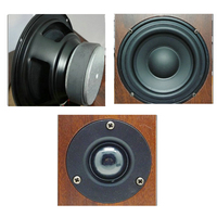 Altavoz de alta fidelidad Hifi de 100W y 5 pulgadas, estantería con Monitor de fiebre pasiva, sonido envolvente y música