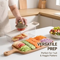 Mini huishoudelijke ABS materiaal multifunctionele groentesnijder aardappelsnijder handmatige handbeschermende komkommer radijs rasp keuken