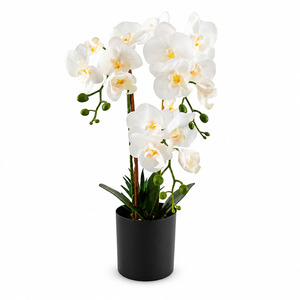 Piante e Fiori Artificiali all'Ingrosso, Piante Decorative Artificiali per Casa e Matrimonio, Bonsai e Orchidee Artificiali - Product Image 1