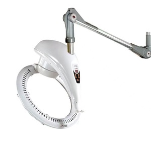 Professional Beauty Salon Dolphin Heating Cold Perm Oil Machine Wall Mounted Hair Dryer Holder Steamer for Barbershop - Product Image 1