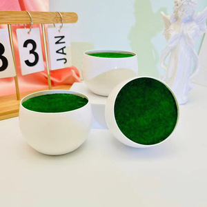 Maceta Redonda con Diseño de Flores, 8 cm, para Plantas Verdes de Escritorio, Diseño Moderno para Jardinería Interior - Product Image 1