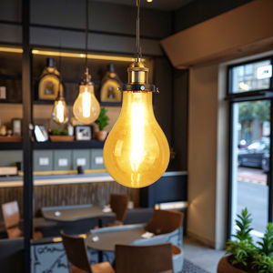 रेट्रो बल्ब सिंगल लटकन लैंप के साथ रेट्रो बल्ब सिंगल लटकन लैंप होम होटल रेस्तरां सजावट के लिए - Product Image 4