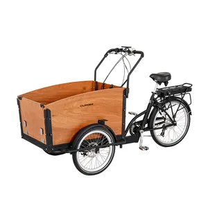 מלאי פוליש באיכות גבוהה שלוש גלגל פלדה גלגל אופניים חשמלי למבוגרים עם סוג גוף פתוח