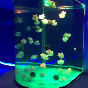 Plaque acrylique PMMA 100% vierge de qualité supérieure, <span class=keywords><strong>aquarium</strong></span> pour méduses avec éclairage et système de support de vie - Product Image 3