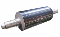 Cylindre de rouleau d'impression Flexo à structure excentrique émis par l'usine avec composants de noyau de roulement pour arbres de machine d'impression Flexo