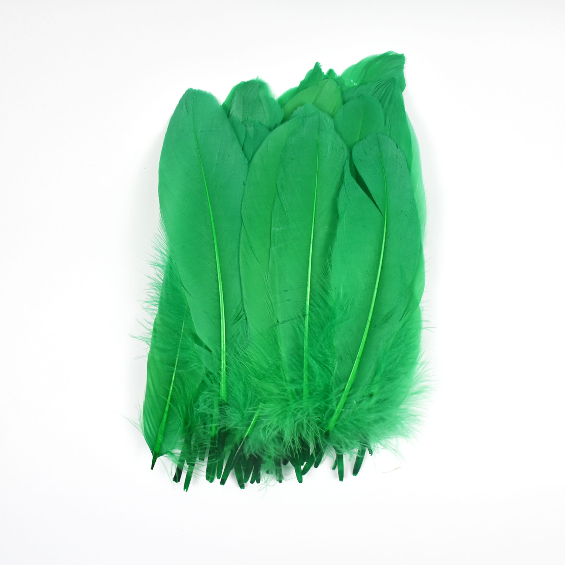Vert