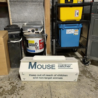 Piège à souris en papier non toxique écologique et à colle pour insectes Piège à souris collant pour usage domestique pour le contrôle des insectes araignée cafard