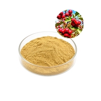 Extrait de baies d'aubépine de qualité alimentaire en poudre de flavone, fourni par l'usine
