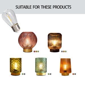 Guirlandes lumineuses d'extérieur S14, ampoules LED Edison, 24V 120V 240V 1W 60lm, résistantes aux chocs, pour les fêtes - Product Image 2