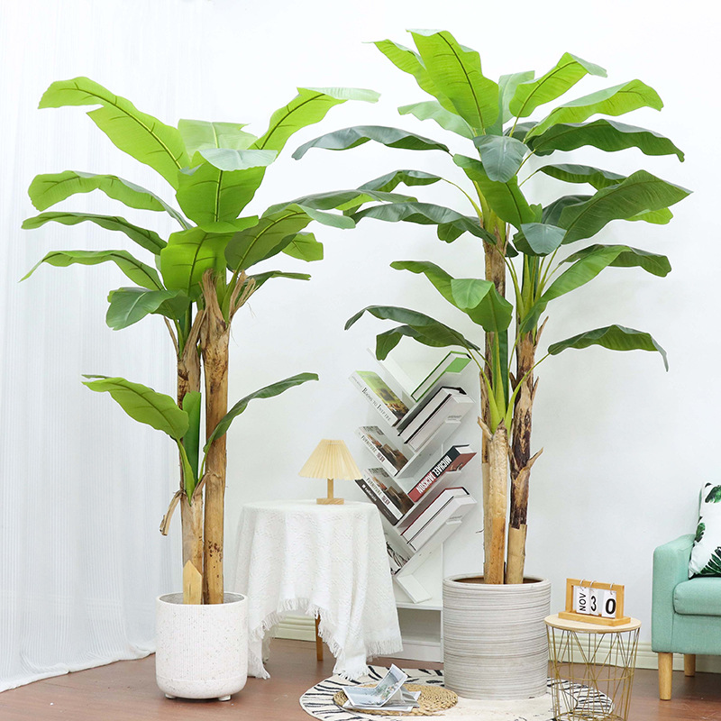 gummibaum zimmerpflanze kaufen Gummibaum kaufen - Ficus Elastica Abidjan Zimmerpflanze Ø:27 H:110 cm main image 0