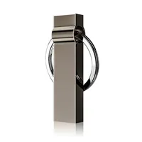 Keyring Usb 2.0 3.0 1gb 2gb 4gb 8gb 16gb 32gb 64gb Cle Usb Flash Disk Drive Memoria Usb dengan Logo khusus