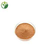 Poudre de melon d'hiver naturelle de haute qualité, extrait de melon d'hiver en poudre, soluble dans l'eau, poudre de jus de melon d'hiver, extrait de courge blanche