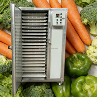 Déshydrateur alimentaire industriel entièrement automatique pour fruits, légumes, poivrons, curcuma, oignons, épices