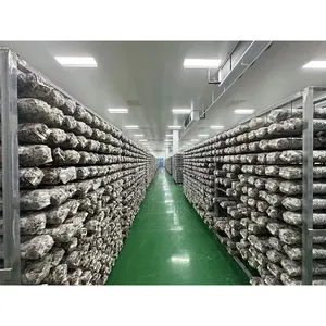 -5- +5 degree Mushroom Cultivating and Growing Cold Room Refrigeration Equipment Unit Cooler Mushroom Prefabricated Cold Room