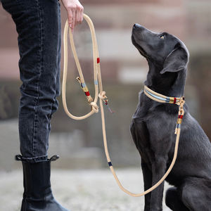 कुत्ते के कॉलर और पट्टा सेट लक्जरी कस्टम डिजाइन हैंडब्राएडेड नायलॉन हाथ मुक्त मल्टीफंक्शन प्रशिक्षण नए कुत्ते लीड पालतू पट्टा सेट - Product Image 6