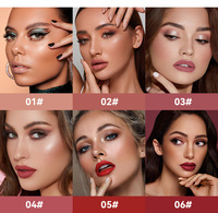 24 horas sin decoloración, taza antiadherente, lápiz labial mágico, tendencia, suave, Etiqueta Privada, brillo de labios, logotipo personalizado