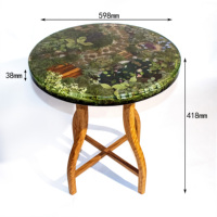 Artisanat en résine pour la maison, meubles, jardin, paysage, plantes en mousse, résine époxy, table à manger, salon, table basse en bois et résine époxy