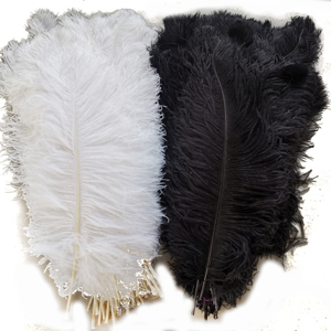 <span class=keywords><strong>Plumes</strong></span> d'autruche décoratives teintées blanches et noires en gros, 65-70 cm (26/28 pouces), pour centres de table et décoration florale - Product Image 1