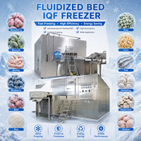 SUS304 RVS 300kg/u Fluidized Bed Freezer 0,3T/u IQF Snelvries Tunnelmachine Motor Milieuvriendelijke Groente- en Fruitvriesmachine