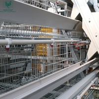 Sistema de Jaulas para Gallinas Ponedoras Tipo A, Totalmente Automático, para la Recolección de Huevos, para Granjas Avícolas de Gran Escala con Capacidad para 30000 Aves