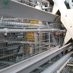 <span class=keywords><strong>Jaula</strong></span> para Gallinas Ponedoras Tipo A, Totalmente Automática, para la Recolección de Huevos, con Capacidad para 30000 Aves, para Granjas Avícolas a Gran Escala - Product Image 3