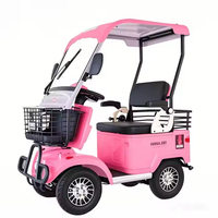 Scooter de mobilité électrique 2 places Minibus avec toit de voiturette de golf personnalisé Nouveau design 800W Digital Smart EBike Moteur de moyeu arrière à vendre