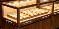 Vitrine Moderne Écologique en Bois et Métal pour Montres et Bijoux avec Éclairage LED, Robuste, Personnalisable, Facile à Nettoyer