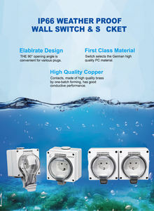 IGX66 Hava Koşullarına Dayanıklı Duvar Prizi 1'li Amerikan Prizi/ABD Tasarımı IP66 Su Geçirmez Dış Mekan Prizi 15A Nominal - Product Image 5