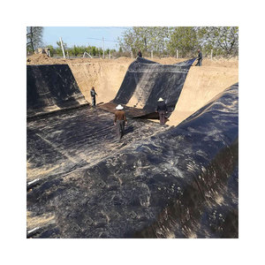 Membrane d'étanchéité souterraine à prix abordable, noir, bleu, vert, membrane anti-humidité DPM, film plastique, géomembrane - Product Image 5