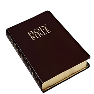 Impresión Profesional de Biblias en Papel de Alta Calidad - Product Image 1