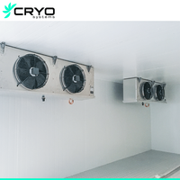 Nouvelle Chambre Froide Éco-énergétique et Écologique pour Pommes, Capacité 100 Mètres Carrés, Technologie de Congélation Rapide par Moteur