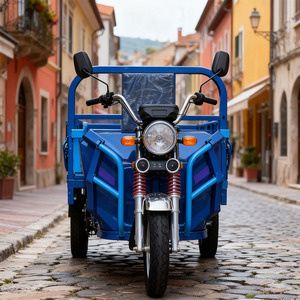 Manufactured Online Wholesale <strong>Mini</strong> Electric <strong>Tricycle</strong> <strong>Truck</strong> Road-Legal <strong>Cargo</strong> <strong>Scooter</strong> with Open Body Door-to-Door Shipping Carrie - Product Image 2