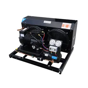 Screw Compressor Unit Piston Compressor Low Temp Screw Compressor Condensing Units