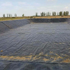 Membrana Impermeable de <span class=keywords><strong>cisterna</strong></span>, fabricante chino de Geomembrana - Product Image 5