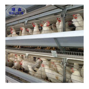 Cage de couche de poulet de volaille de ponte d'oeufs/cages galvanisées de batterie de poulet à vendre au Cameroun - Product Image 1