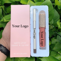 Ensemble de cosmétiques de haute qualité emballage personnalisé crayon à lèvres glaçage pour les lèvres longue durée kit pour les lèvres marque privée