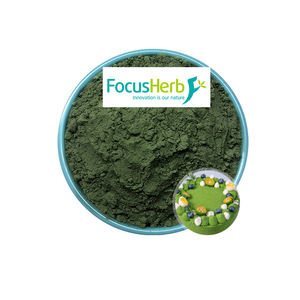 Pigment colorant alimentaire naturel FocusHerb extrait de gardénia E40 poudre verte de gardénia - Product Image 2