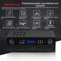 Amplificateur de karaoké professionnel TAK8 HIFI 2 canaux pour salles de réunion, salles de karaoké, usage domestique et professionnel