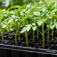 Plateau à semis en plastique écologique, plateau de germination à cellules pour le démarrage de semis de plantes de jardin et la propagation à grande échelle