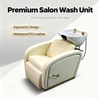 Fauteuil de lavage portable de luxe, style populaire, avec bac à shampoing intégré, pour soins capillaires et spa, idéal pour salons de beauté et salons de coiffure